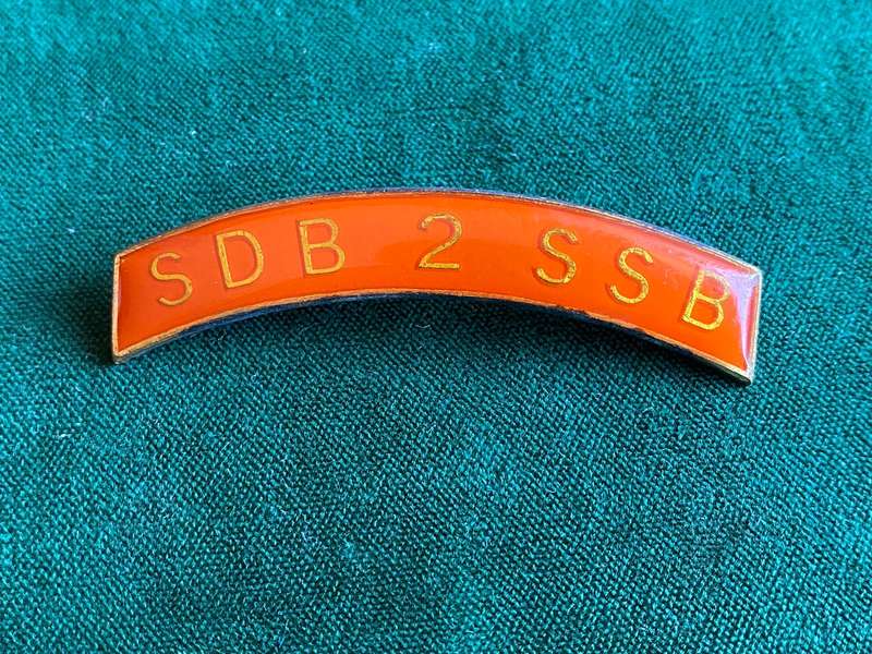 2 SPECIAL SERVICE BATTALION METAL SHOULDER TITLE- 2 PINS