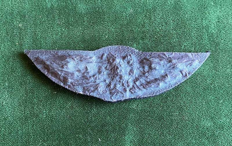 SWA AIR FORCE PILOTS WING FIRST TYPE