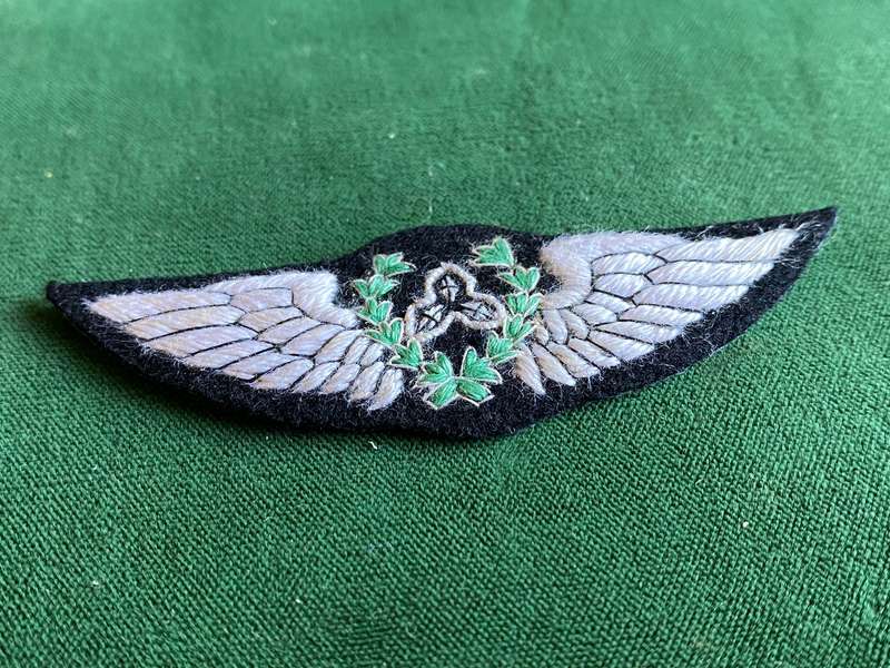 SWA AIR FORCE PILOTS WING FIRST TYPE
