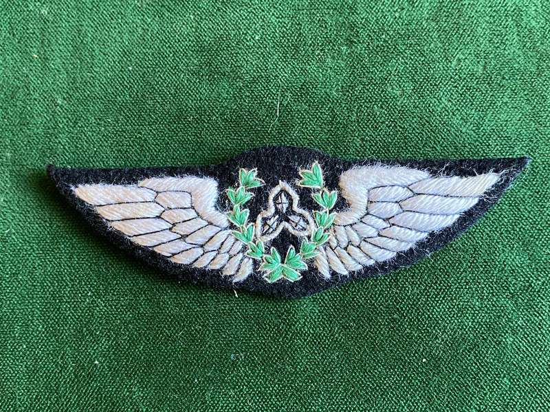 SWA AIR FORCE PILOTS WING FIRST TYPE