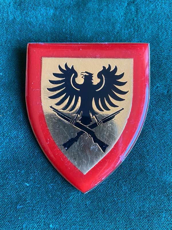 913 BATTALION FULL SIZE FLASH-ONE PIN