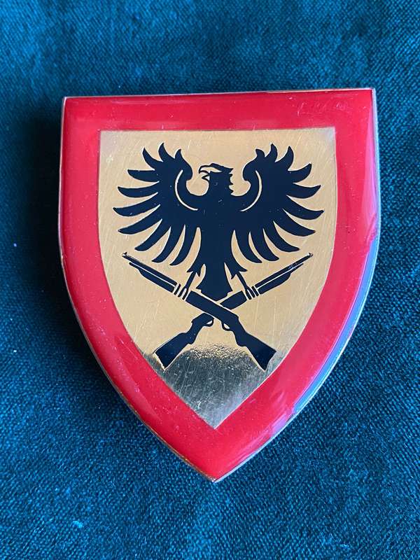 913 BATTALION FULL SIZE FLASH- 3 PINS