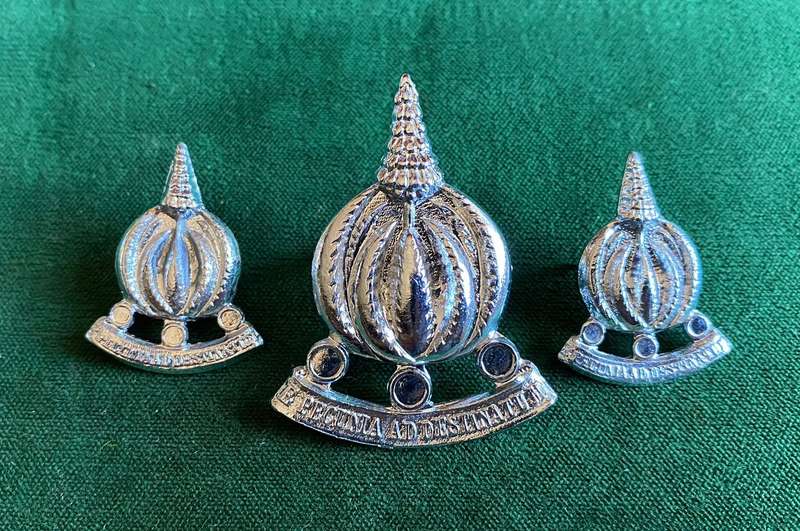 FINANCES SERVICES CORPS,CHROMED CAP AND COLLARS-APPROVED IN 1973-PINS INTACT