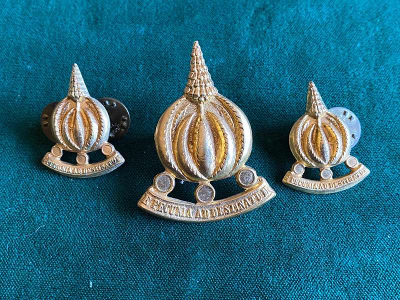 FINANCE SERVICES CORPS,GILT CAP AND COLLARS-WORN PRE 1973-PINS INTACT