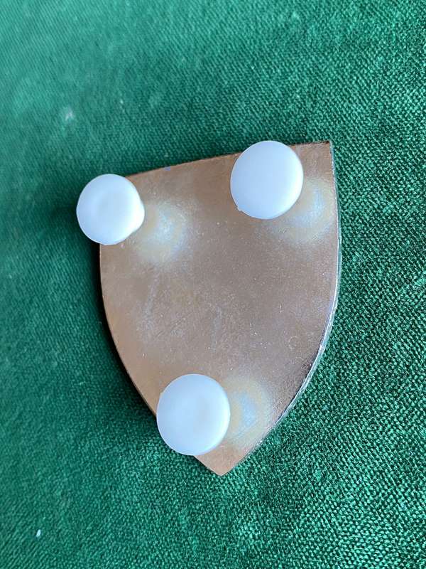 SWA HQ 1 LOGISTIC REGT. POCKET FLASH-VARIATION WITH LUCITE- 3 PINS