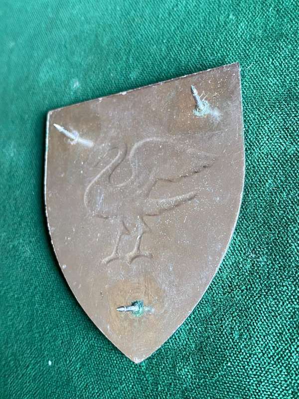 REGT. SPRINGS FLASH- 3 PINS
