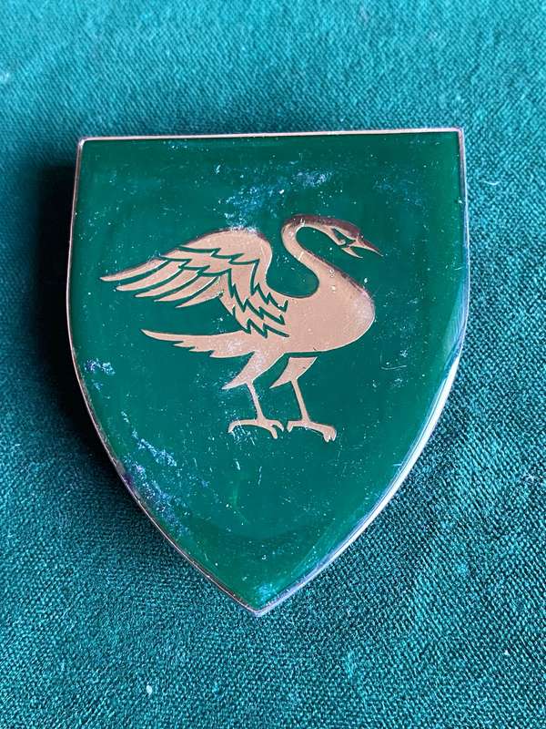 REGT. SPRINGS FLASH- 3 PINS