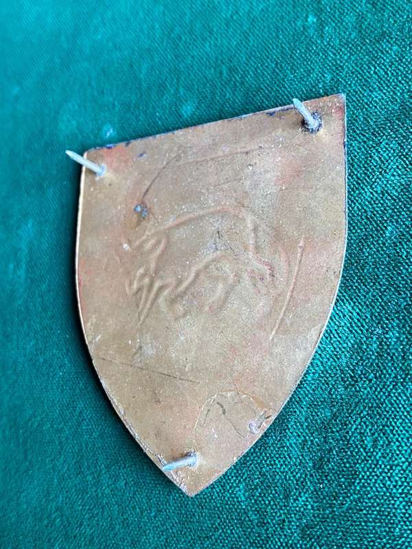 SOUTH COAST COMMANDO FLASH- 3 PINS