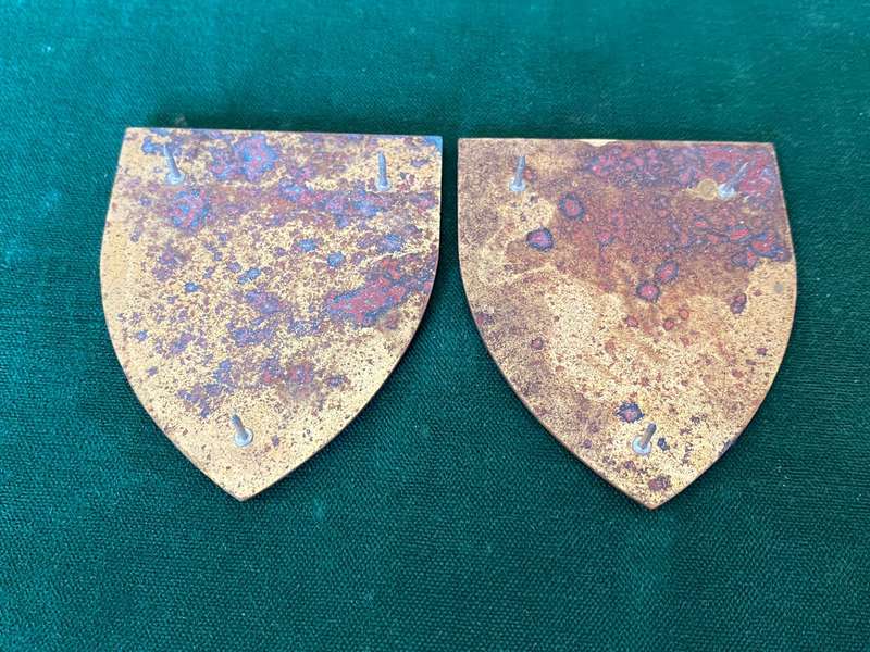 SWA COMMAND HQ FLASH PAIR-GOLD TYPE-PINS INTACT