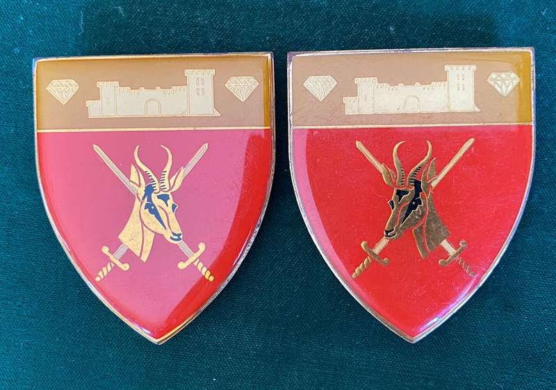 SWA COMMAND HQ FLASH PAIR-GOLD TYPE-PINS INTACT