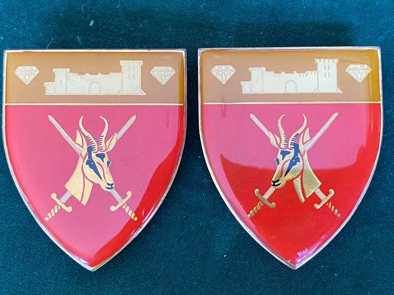 SWA COMMAND HQ FLASH PAIR-GOLD TYPE-PINS INTACT