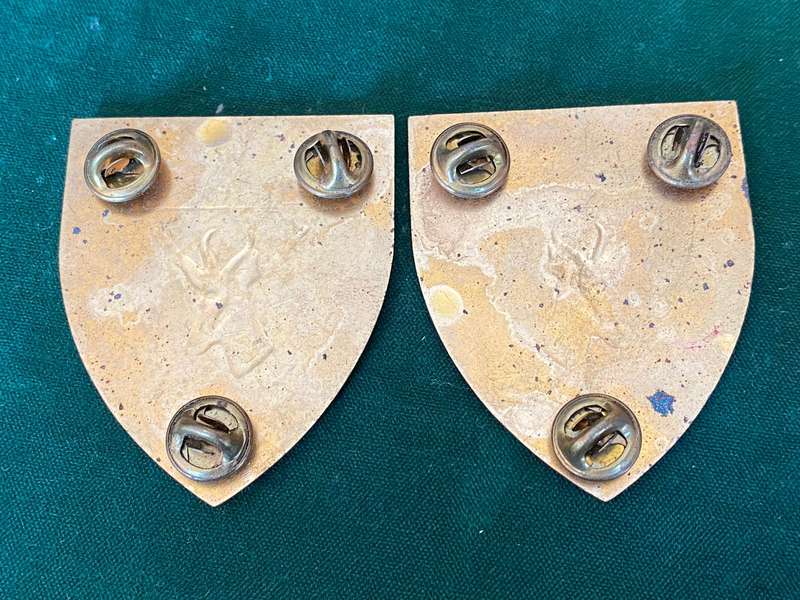 SWA COMMAND HQ FLASH PAIR-GOLD TYPE-PINS INTACT