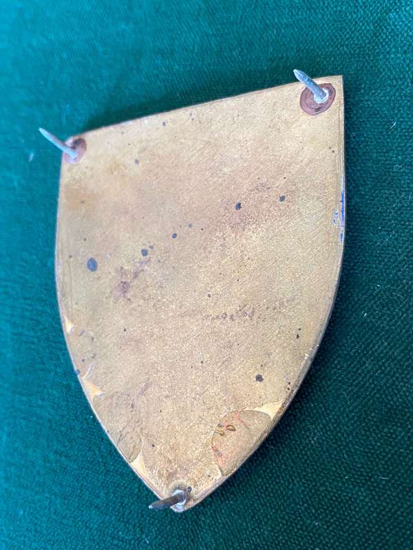 REGT. CHRISTIAAN BEYERS FLASH BLACK EAR TYPE- 3 PINS
