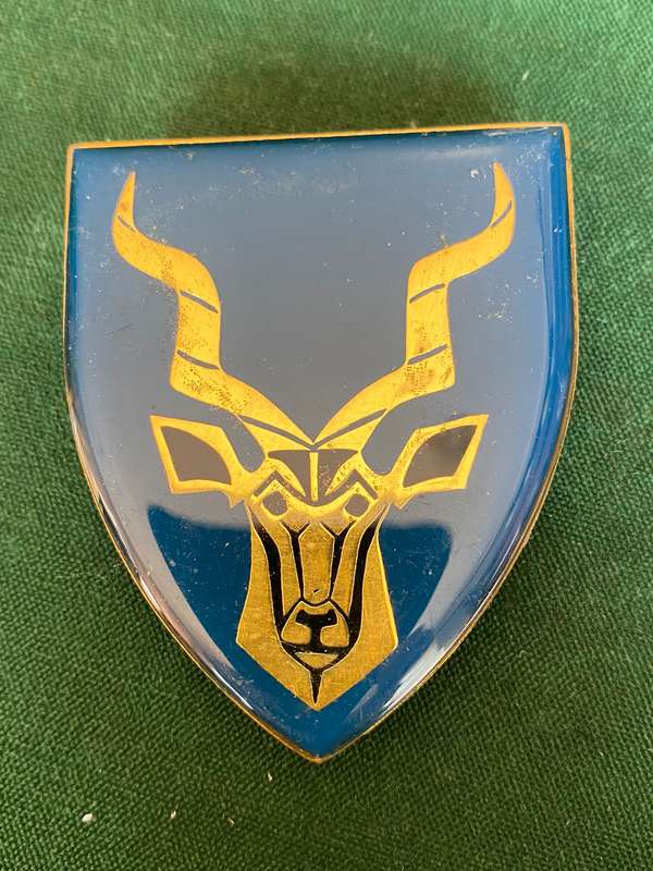 REGT. CHRISTIAAN BEYERS FLASH BLACK EAR TYPE- 3 PINS