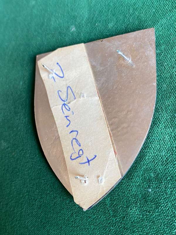 2 SIGNAL REGT. GOLD TYPE FLASH- 3 PINS