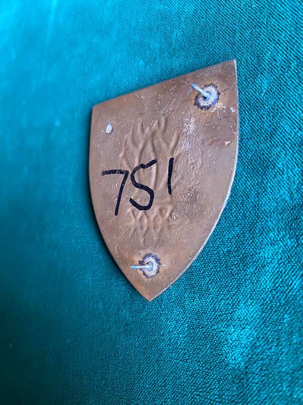 NORTHERN CAPE COMMAND ENGINEER REGT. FLASH- 3 PINS