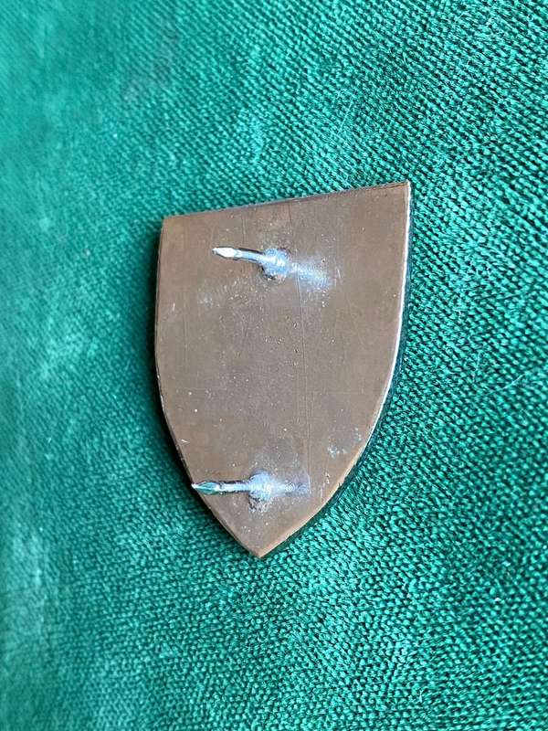 5 SIGNAL REGT. FOB BADGE- 2 PINS