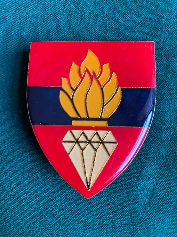 NORTHERN CAPE COMMAND ENGINEER REGT. FLASH- 3 PINS