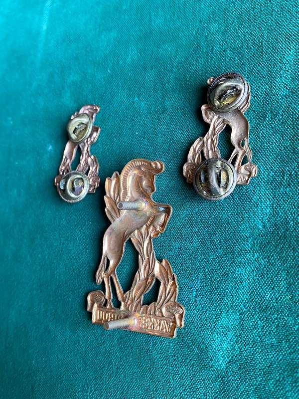 REGT. BLOEMSPRUIT GILDING METAL CAP AND COLLARS-WORN POST 1966-PINS + LUGS-COMPLETE