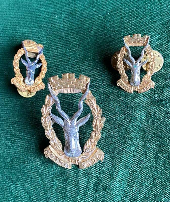 REGIMENT SWA BI/METAL CAP AND COLLARS-WORN POST 1964-LUGS+PINS INTACT