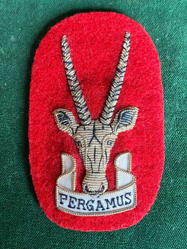 S.W.A.T.F. SENIOR OFFICERS STAFF QUALIFIED CAP BADGE (COLONELS) SILVER WIRE EMBROIDERED-VARIATION(NO