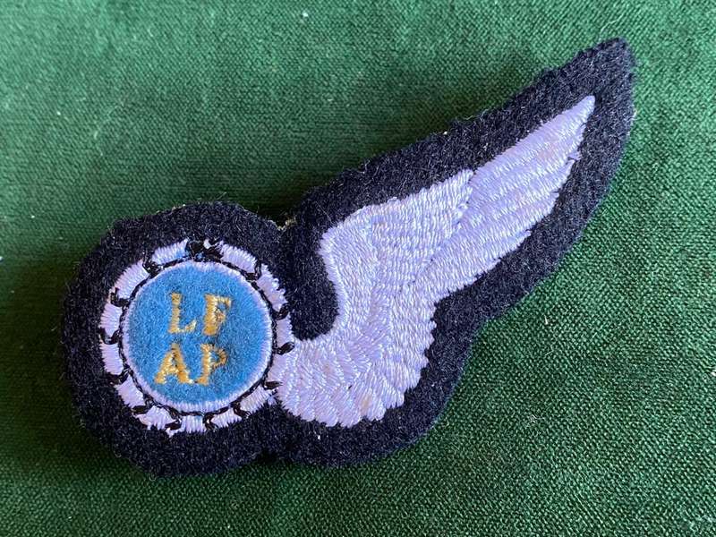 SAAF AIR PHOTOGRAPHER WING- 2 PINS