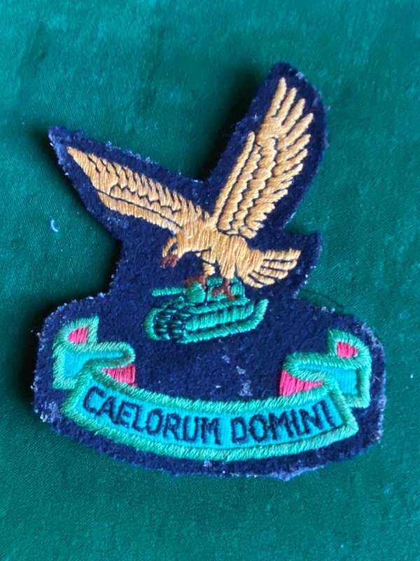 7 SQUADRON PATCH-WORN 1970'S ON RIGHT BREAST-EARLY USED PATCH