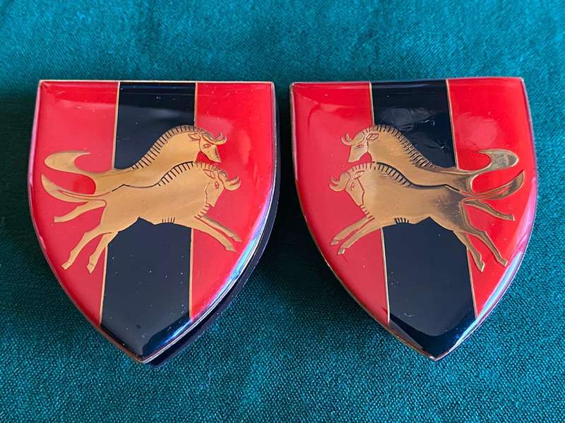 NATAL COMMAND PROVOST UNIT FLASH PAIR-PINS INTACT
