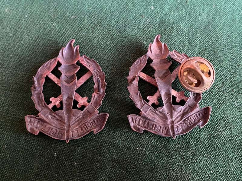 REGT. SCHOONSPRUIT COLLAR BADGE PAIR-WORN FROM 1970'S-PINS INTACT