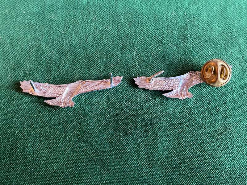 REGT. ORANJERIVIER CHROME COLLAR BADGE PAIR-WORN FROM 1976-PINS INTACT