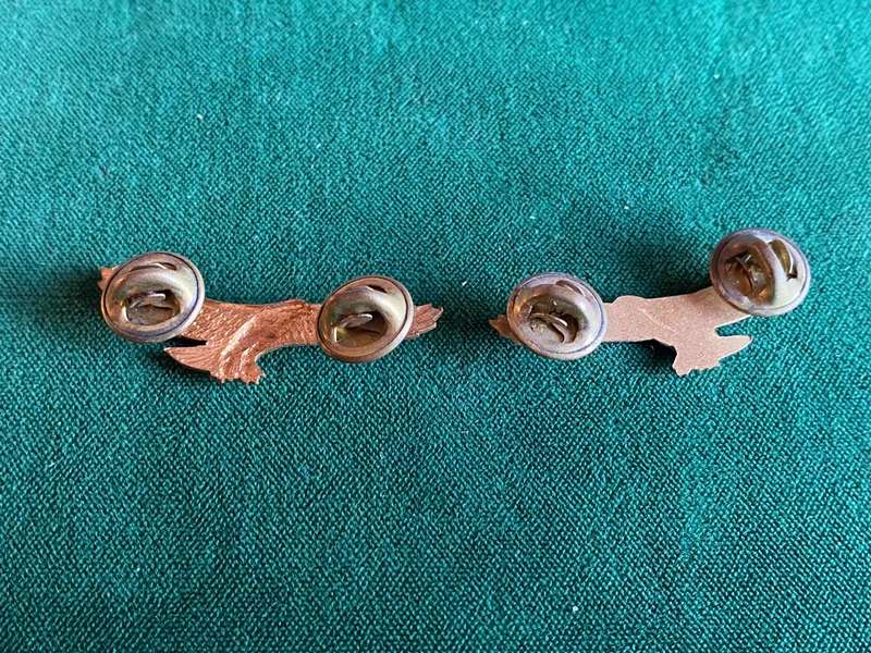 REGT. ORANJERIVIER GILT COLLAR BADGE PAIR-WORN PRE 1970'S-PINS INTACT