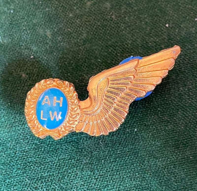 SAAF AIR HOSTESS MESS DRESS WING- 2 PINS