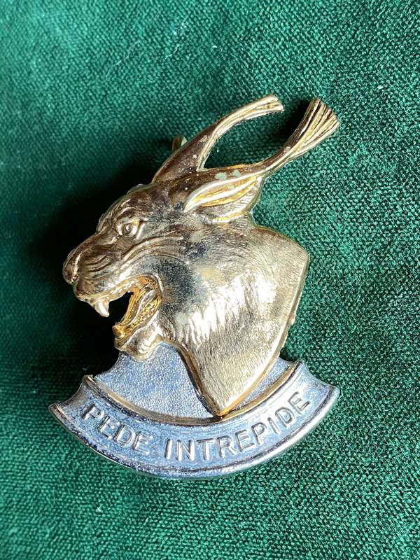 REGT. PRETORIUS BI/METAL CAP BADGE-APPROVED IN 1989- 2 LUGS