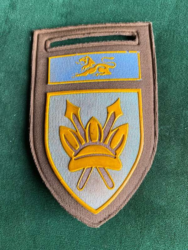 111 BATTALION WITH EASTERN TRANSVAAL COMMAND TUPPER FLASH-ONE PIN