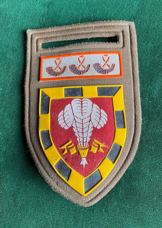 1 SA INFANTRY BATTALION WITH O.F.S. COMMAND BAR- TUPPER FLASH- ONE PIN