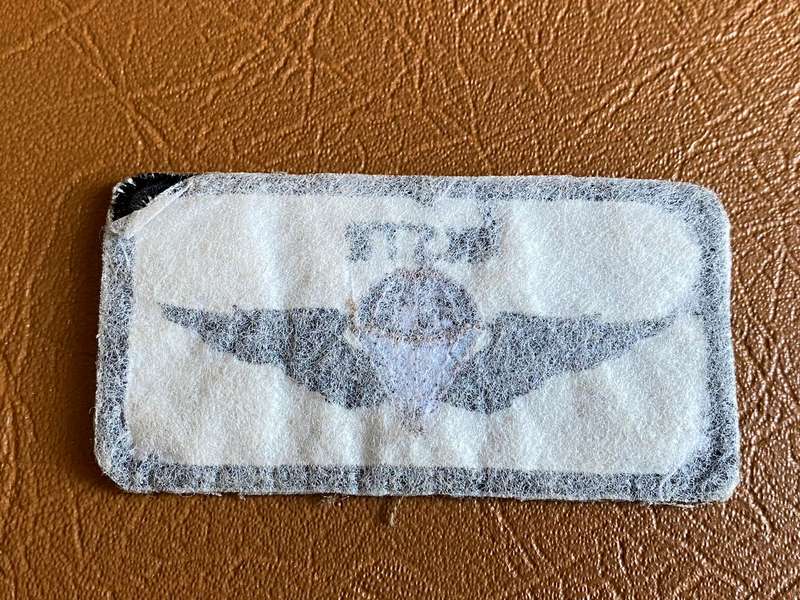 SWA PARACHUTE BATTALION INSTRUCTOR WING-LIGHT BLUE CANOPY LINES-VARIANT
