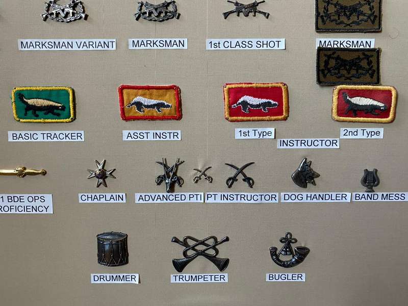 1 SWA SPECIALIST UNIT INSTRUCTORS TRACKER BADGE-2ND TYPE,PLEASE LOOK AT THE PICS FOR THE COMPLETE SE