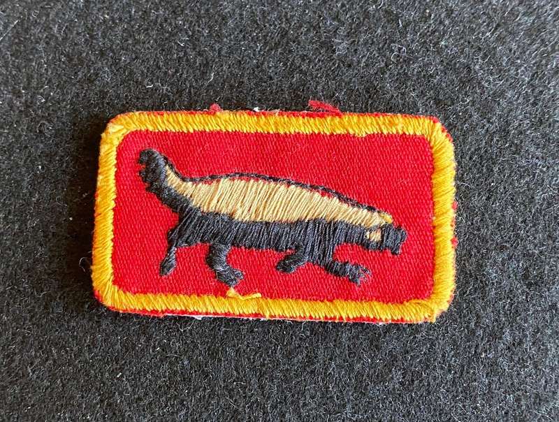 1 SWA SPECIALIST UNIT INSTRUCTORS TRACKER BADGE-2ND TYPE,PLEASE LOOK AT THE PICS FOR THE COMPLETE SE