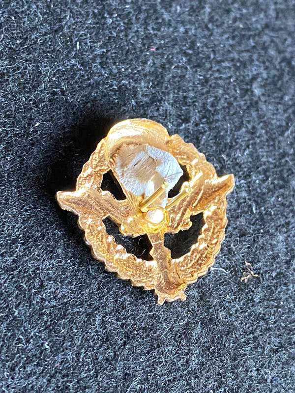 RUSSIAN FEDERATION PARACHUTE COLLAR BADGE