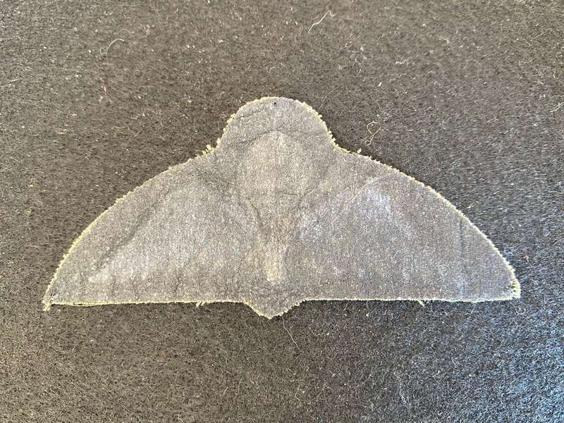 AUSTRALIAN AIRFORCE PARACHUTE WING-1980'S