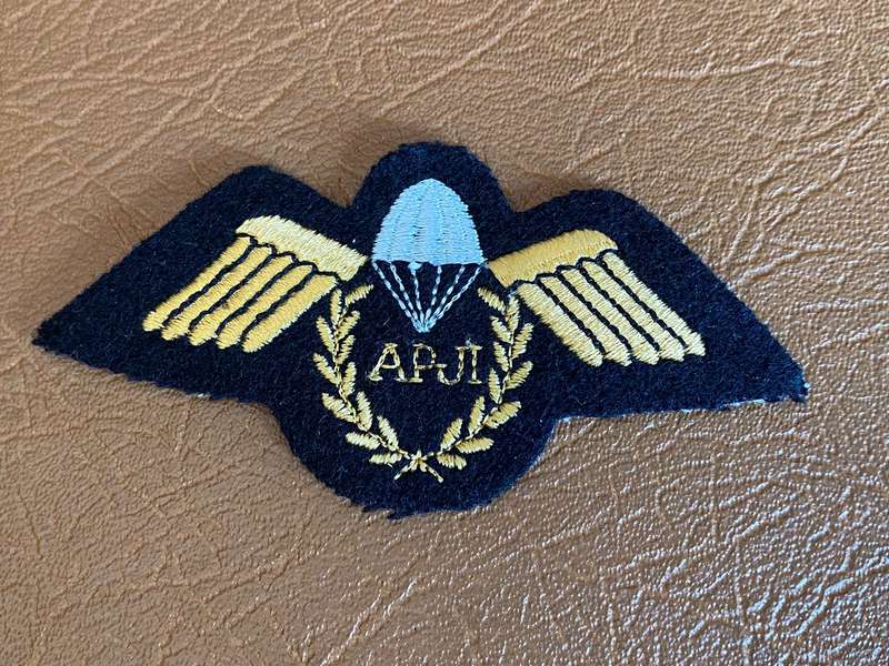 NEW ZEALAND ASSISTANT PARACHUTE INSTRUCTOR WING