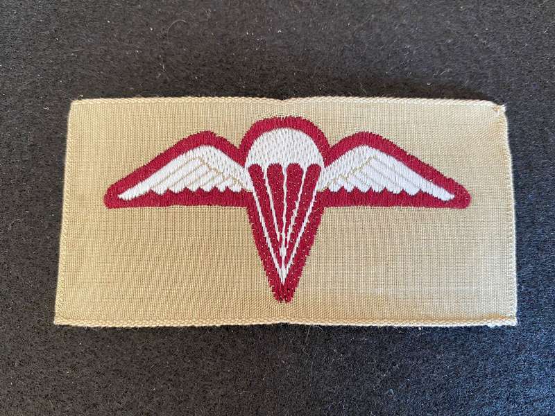 AUSTRALIAN PARA BATTALION WINGS