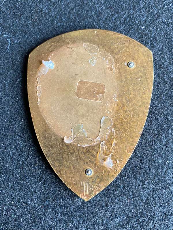 17 FIELD AMBULANCE FLASH- NO PINS