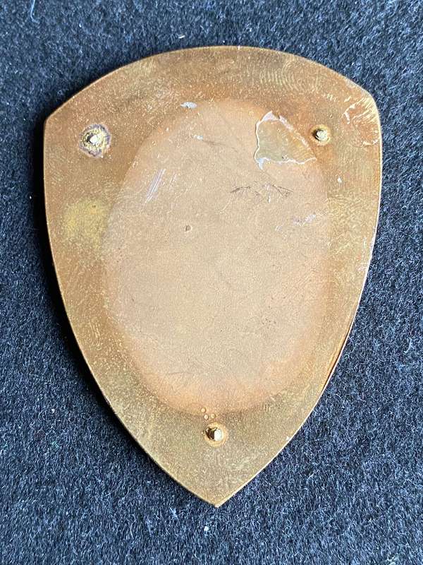 12 MILITARY HOSPITAL FLASH - NO PINS