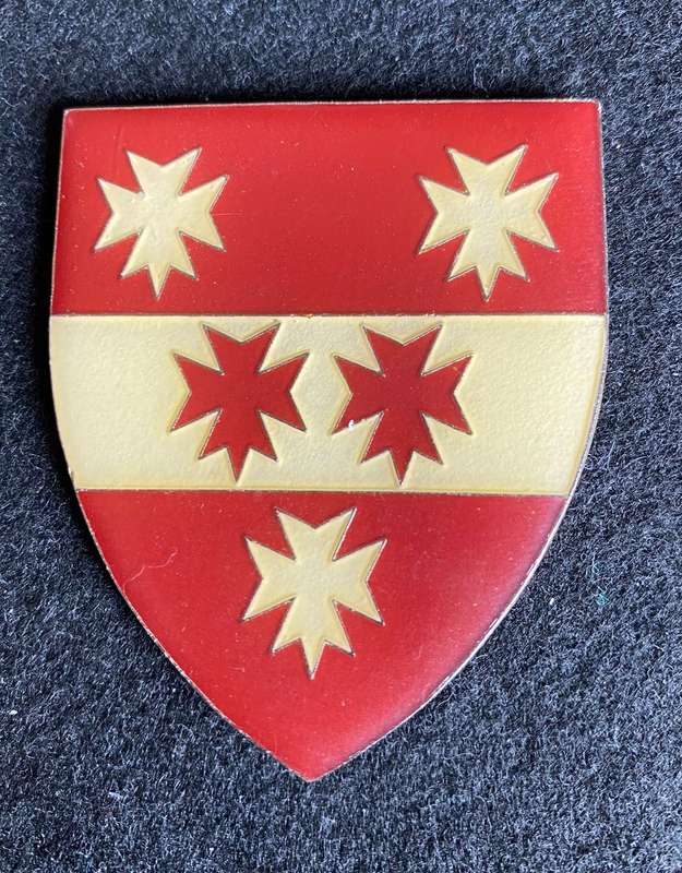 5 MEDICAL GROUP BATTALION FLASH- NO PINS