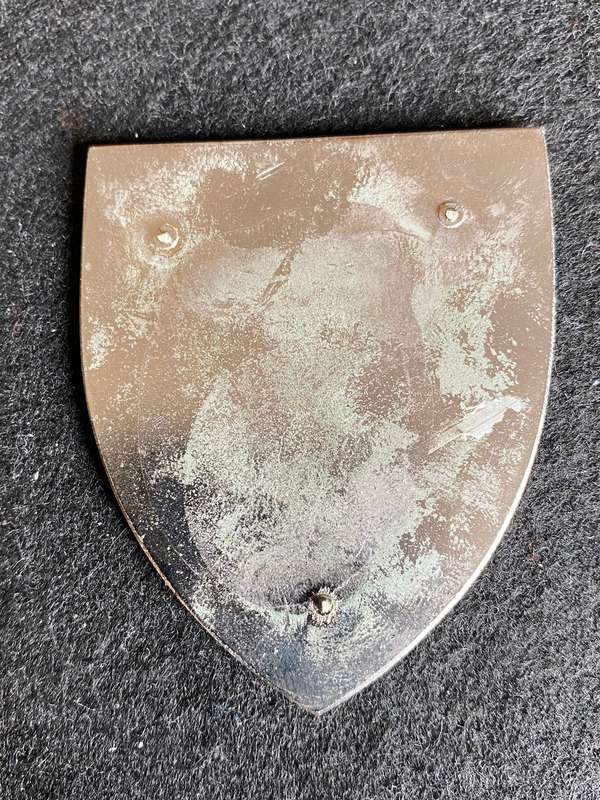 2 MEDICAL GROUP BATTALION FLASH- NO PINS