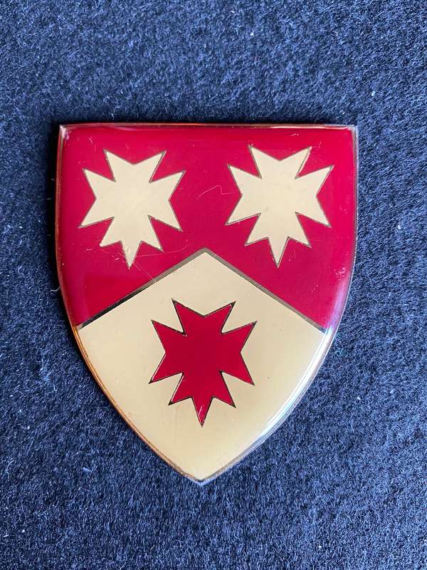 6 MEDICAL GROUP BATTALION FLASH- NO PINS