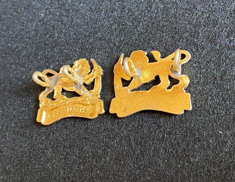 RHODESIA WOMEN'S SERVICE ANODISED COLLAR BADGE PAIR-WORN 1977-1980-LUGS COMPLETE