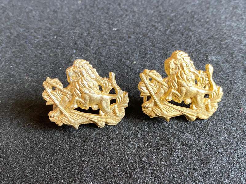 RHODESIA BSA ANODISED COLLAR BADGES-WORN 1970'S-1980-LUGS INTACT