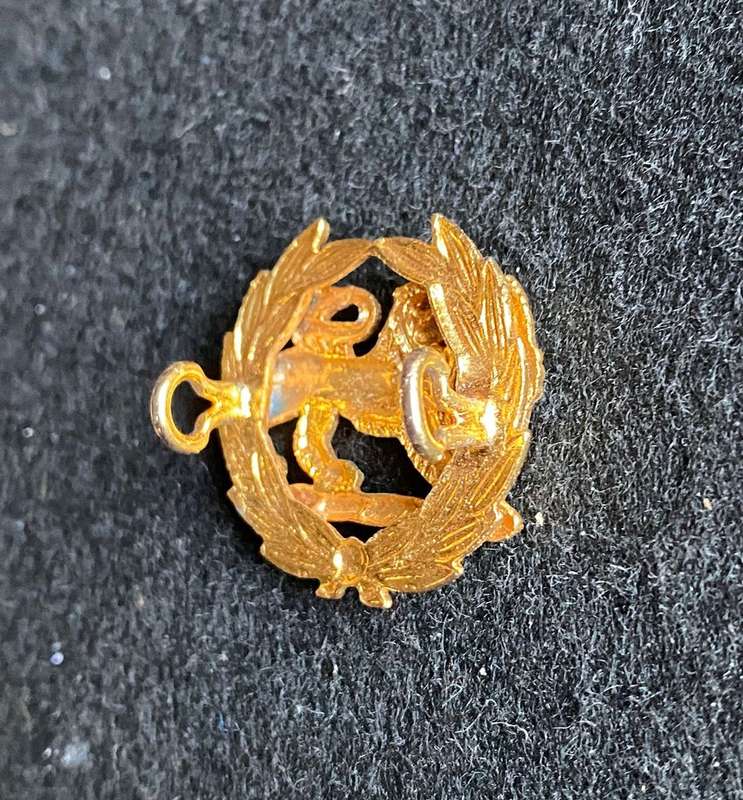 RHODESIA BSAP ANODISED RANK BADGE- 2 LUGS